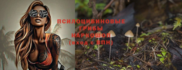 СК Медногорск
